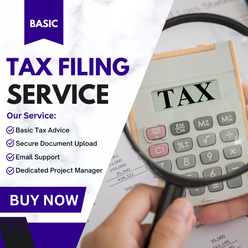 US Basic Taxes Filing Full Package