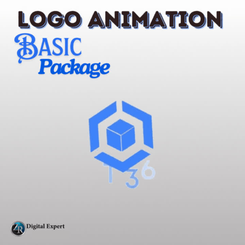 Basic Logo Animation Design Package Deposit