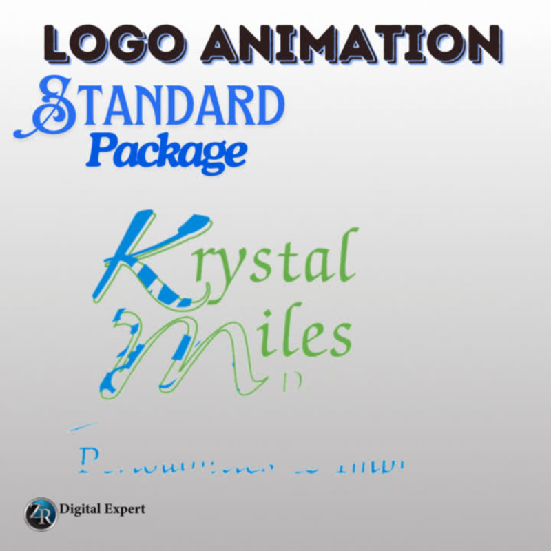 Standard Logo Animation Design Package Deposit
